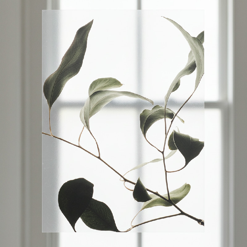 Paper Collective Transparentní plakát Floating Leaves 09