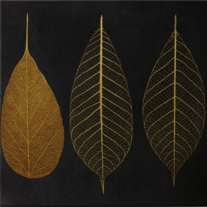 Majestic, Dekorativní plátno, 45 x 45 cm